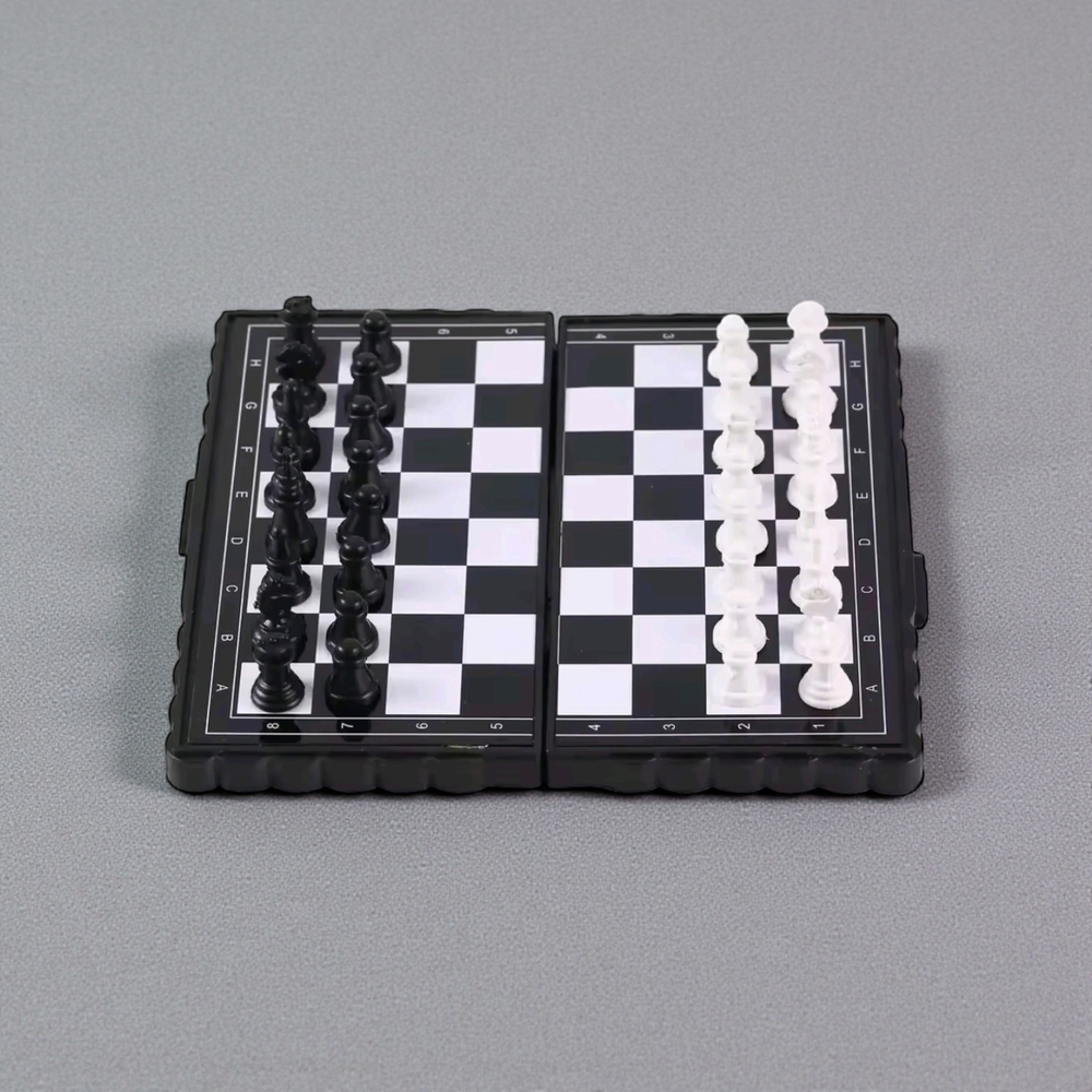 Pocket Mini Chess Set! Magnetic!